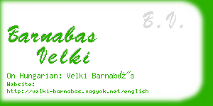 barnabas velki business card